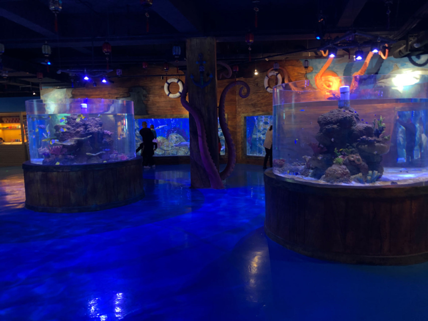 ایکریلک فش ٹینک لائف سپورٹ سسٹم کا تعارف